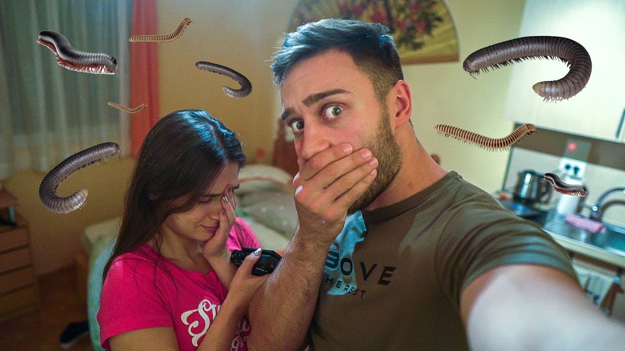 СТАЯ ПЪЛНА СЪС СТОНОЖКИ | Тенерифе влог 2