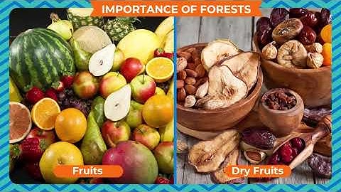 FORESTS-A NATURAL RESOURCE     CLASS-7