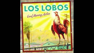 Video thumbnail of "LOS LOBOS - Hearts Of Stone"