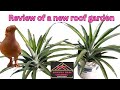 Review of a new roof garden  bhawal bari channel 