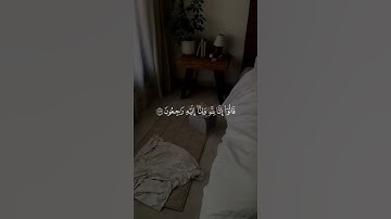 اكتب شيء تؤجر عليه ❤️😴 قران كريم | فارس عباد