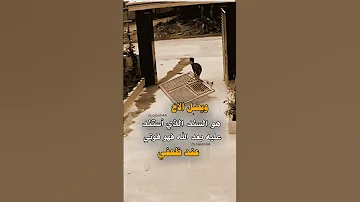 ويضل الاخ هو السند الذي أستند عليه بعد الله من عبارات مجيب المسوري 