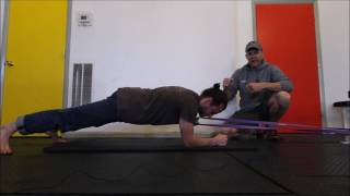 Plank/Pull