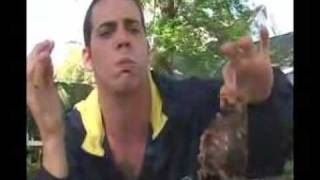 Jackass-Steve-O eating rats