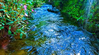 Deep Sleep River Sounds with Soft Piano Melodies to Ease Insomnia and Bring Inner Tranquility