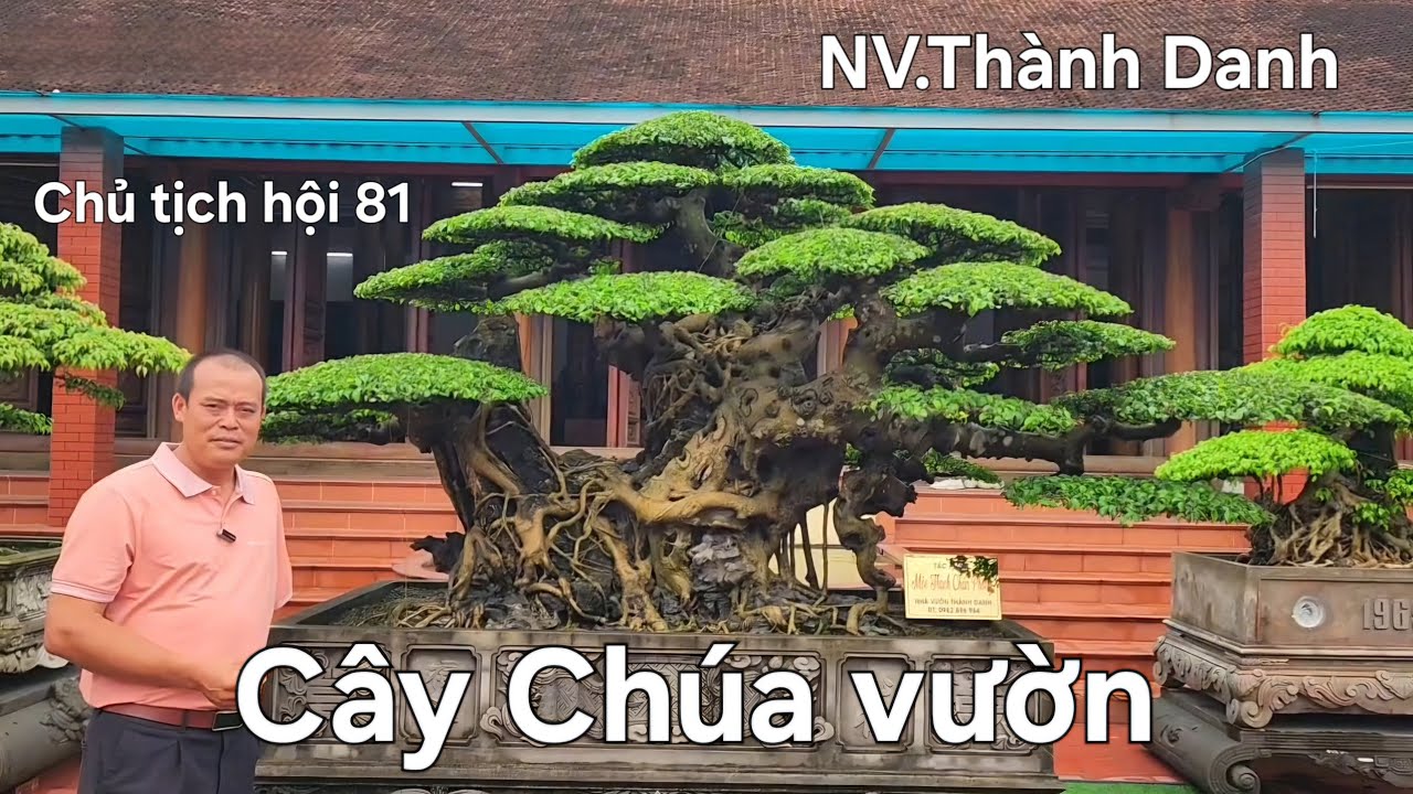 Những tác phẩm đặc biệt vào tầm ngắm Chủ tịch hội 1981