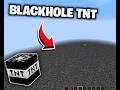 BLACK HOLE TNT destroyed my minecraft world