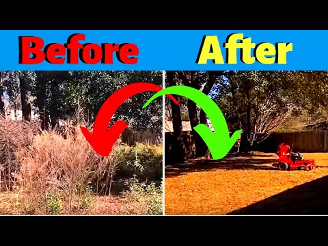simple lawn care business plan Big Money | Overgrown Property Cleanup (foreclosure cleanup)