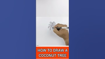 How To Sketch A Coconut Tree Like An Architect. #architecture #interiordesign #art #shorts #sketch
