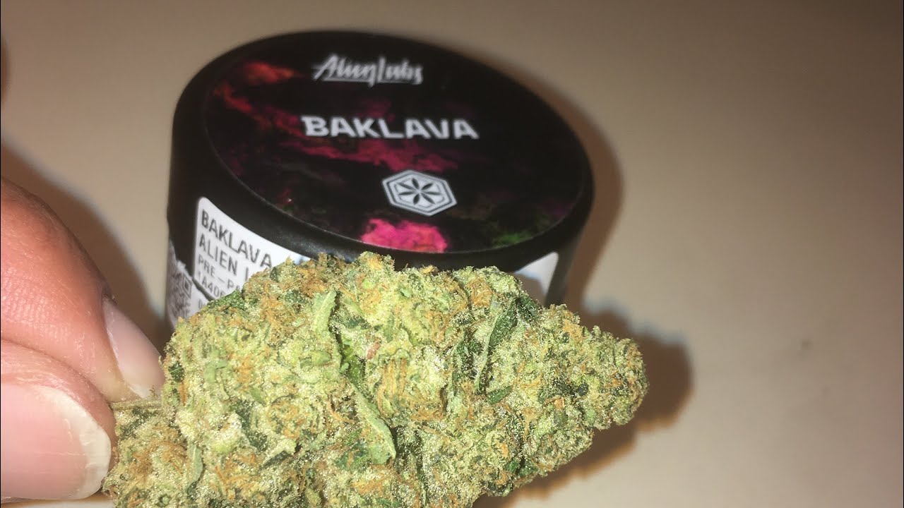 Strain review alien labs baklava hollister ca dispensary YouTube