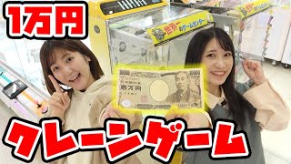 【大量】クレーンゲームで１万円分使い切るまで帰れません！取り放題チャレンジ！！