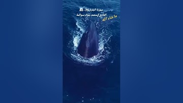 سورة البقرة 75-82 : القارئ / محمد جواد سوالمة