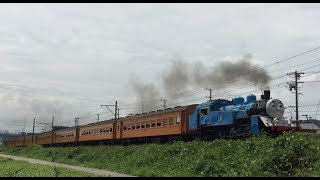 【大井川鉄道】トーマス2019！沿線を走るトーマス(Thomas is Running powerfully with 7cars and EL in Oigawa Railway Japan)