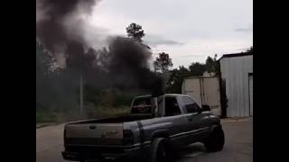 Dodge Roll Coal