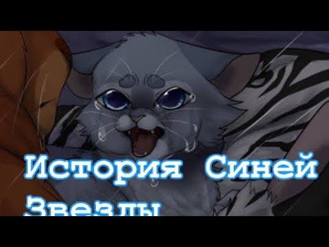 Видео: История Синей Звезды⭐️💙/Коты-воители