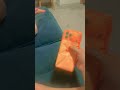 Ele veio fofo demais como eu vou mexer