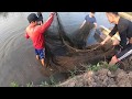 FISH HARVESTING/Striped mullet