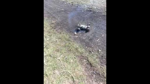 Redcat racing shockwave 2wd