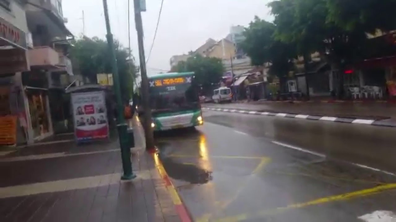 new-man-nl323f-of-egged-bus-cooperative-on-route-561-on-weitzman-st-in