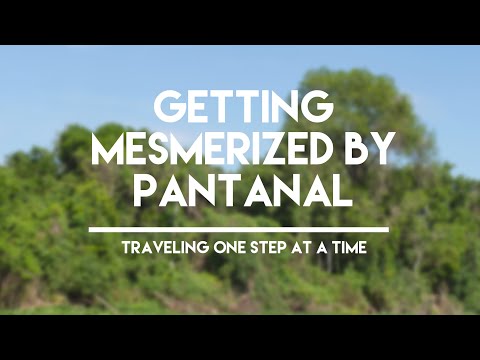 VISITING PANTANAL THE WETLANDS OF BRAZIL PART 1 | TRAVELING ONE STEP AT A TIME