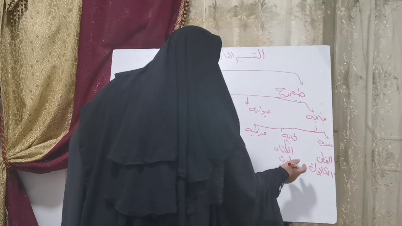 التقسيم العام لألياف النسيج الصف الأول الثانوى الصناعى