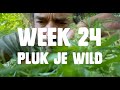 Week 24  pluk je wild  52 weken duurzaam