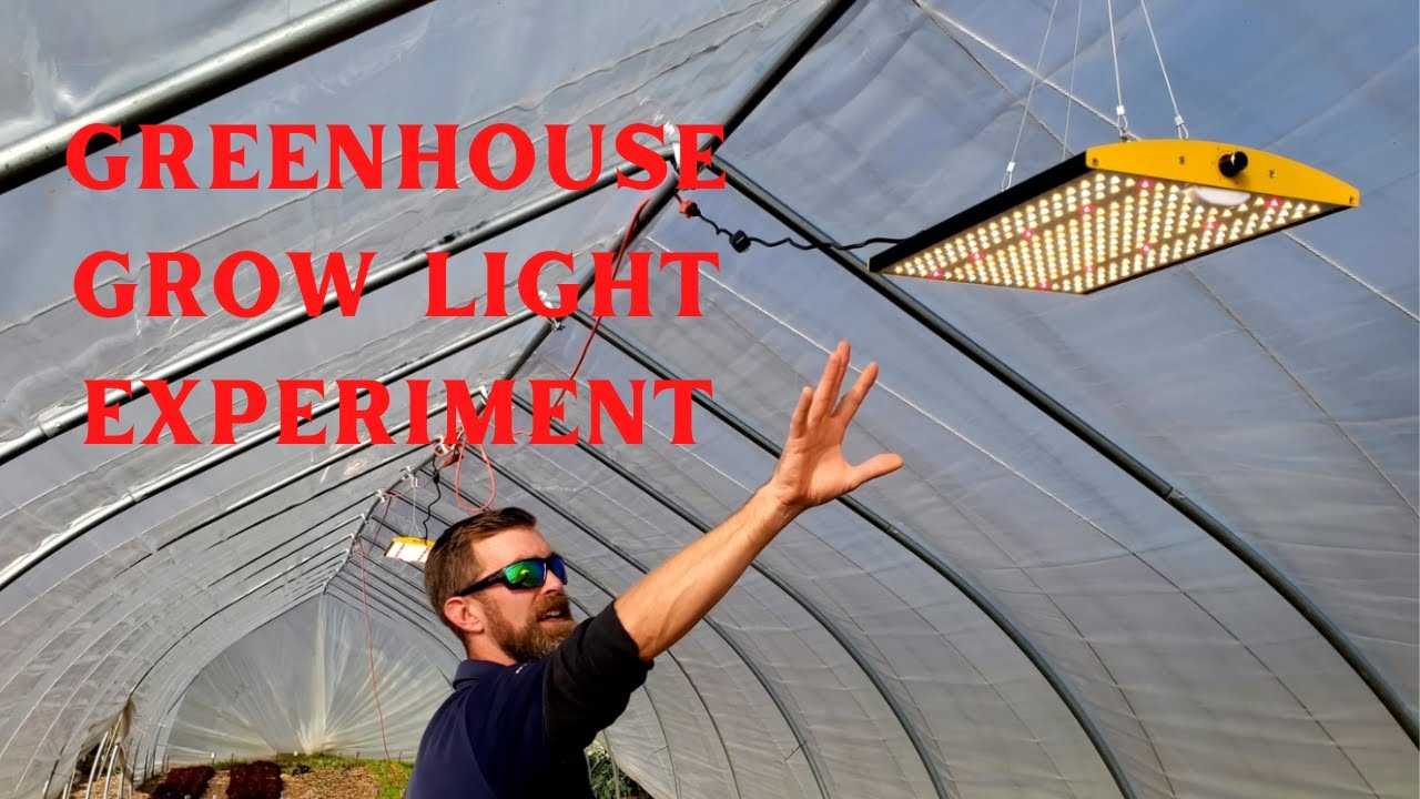 Greenhouse Grow Light Experiment Part 1 - The Hillbilly Farmers