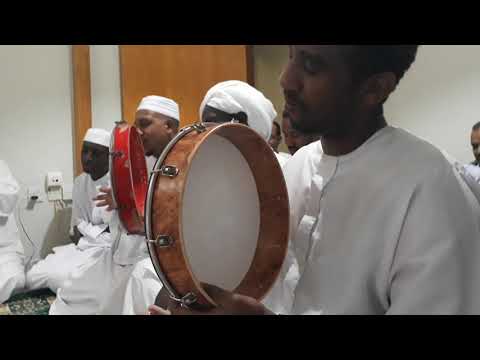 الصادق المأمون