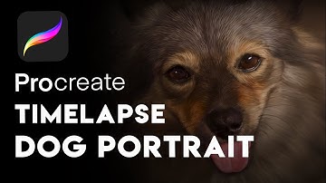 Realistic Dog Portrait Timelapse Procreate iPad Pro