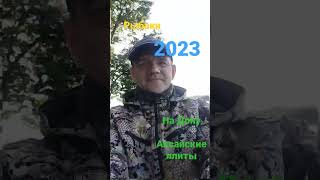 4 июня 2023 г.