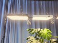 Fecida cr1200 grow lights  what plants are you using it for cannabis