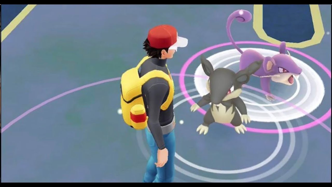 ポケモンgo 野生のコラッタとアローラすがたコラッタが共演 笑 Youtube