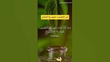 غير المغضوب عليهم ولا الضالين #احمد_سليمان_ابوالبراء #تلاوة #دويتو #راحة_نفسية #اكسبلور #حالات_واتس
