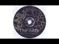 The ants   full album
