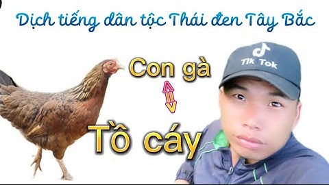 DỊCH TIẾNG DÂN TỘC RA TIẾNG PHỔ THÔNG dịch chủ đề động vật 12con giáp