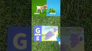 Let’s Learn ABCD Together ! ABC Phonics Song #chuchutv #cocomelon #toddlerlearning
