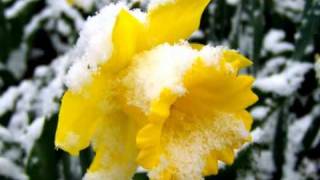 Download lagu Kenny-G / Ocean breeze