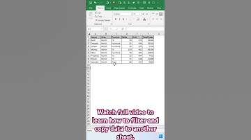 AUTOFILTER in Excel