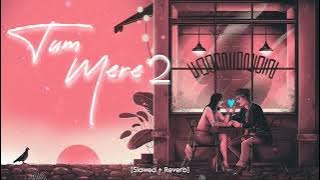 Ye Teri Hasi Par mein mar he na jaun Slowed   Reverb  #TriggeredInsaan   Fukra Insaan  love music