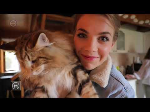 Videó: Macskafajták: Szibériai