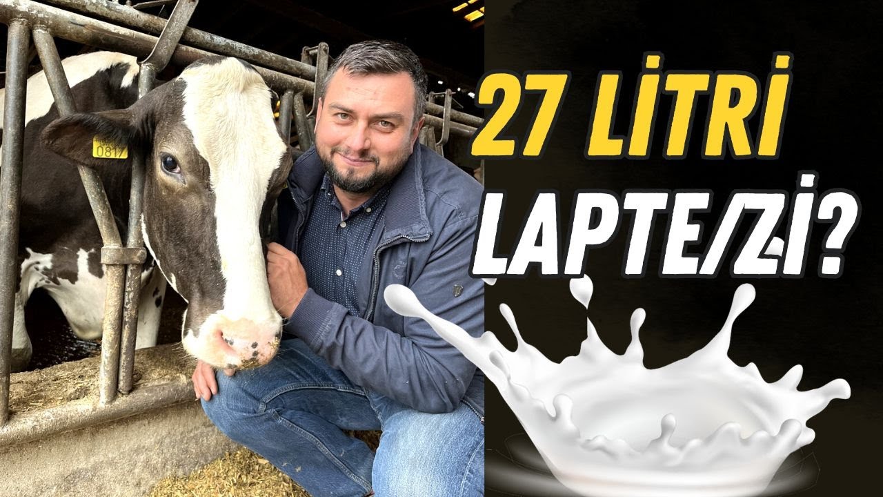 🐄🥛 Cât lapte trebuie să dea o vacă pentru a fi profitabilă? Un calcul al costurilor în litri