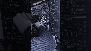 12 - 2 8 1 1 2 1 Acid Modular Synth