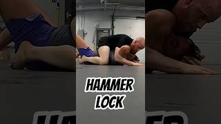 Hammerlock