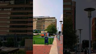 Beautiful American streets/ Baltimore city #usa #maryland #america #baltimore