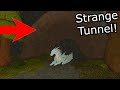 The Strange Random Tunnel in Early Access Wings of Fire