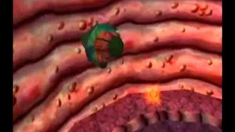 Spongebob Squarepants The Movie Game - Part 10