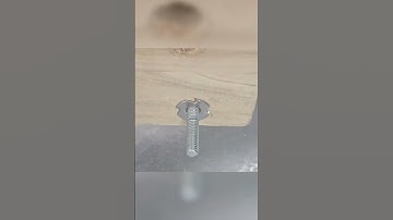 T-Nuts 4-Prong Tee Nut Fasteners Pronged Tee Nut for Wooden Furniture Installation Process