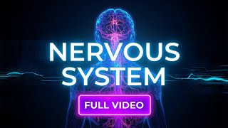 Nervous System Explained | Anatomy & Physiology for 1st Year B.Sc Nursing Students | CNS & PNS
