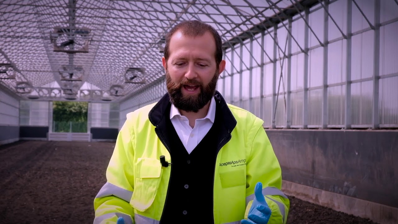 La serra hi-tech per i fanghi del depuratore | Impianto Ca’ Nordio AcegasApsAmga - Padova