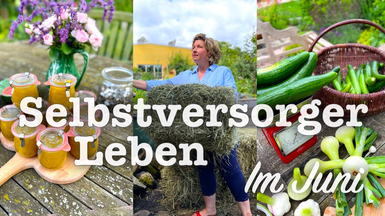 #44 Vorratshaltung für Selbstversorger🍍himmlische Stachelbeer und🥒Gurken Rezepte